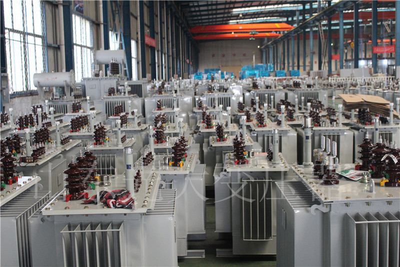 泸溪S22-800KVA/10KV