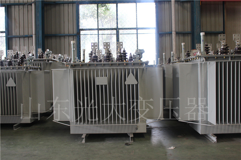 泸溪S20-500KVA/10KV